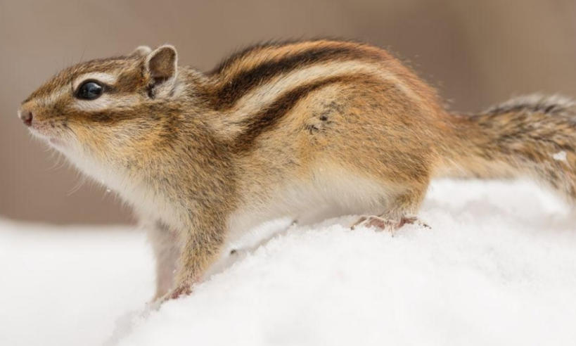 福建鑫通联达商贸有限公司轮播图4