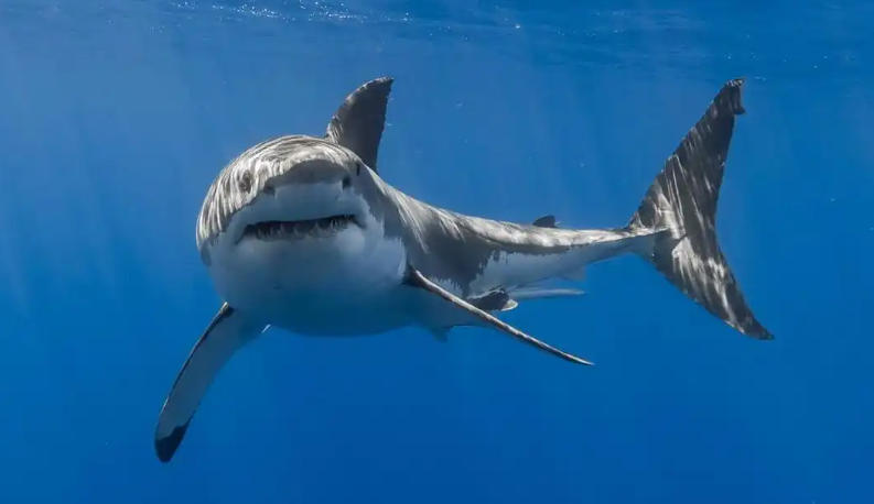 福建鑫通联达商贸有限公司轮播图2