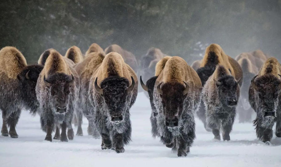 福建鑫通联达商贸有限公司轮播图2