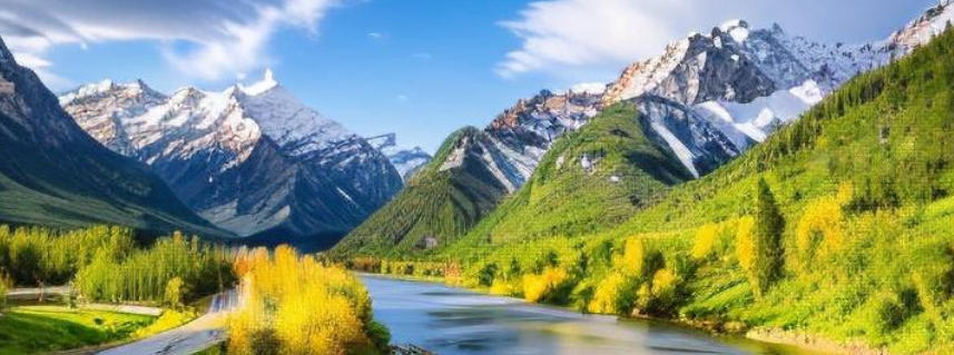 福建鑫通联达商贸有限公司轮播图1